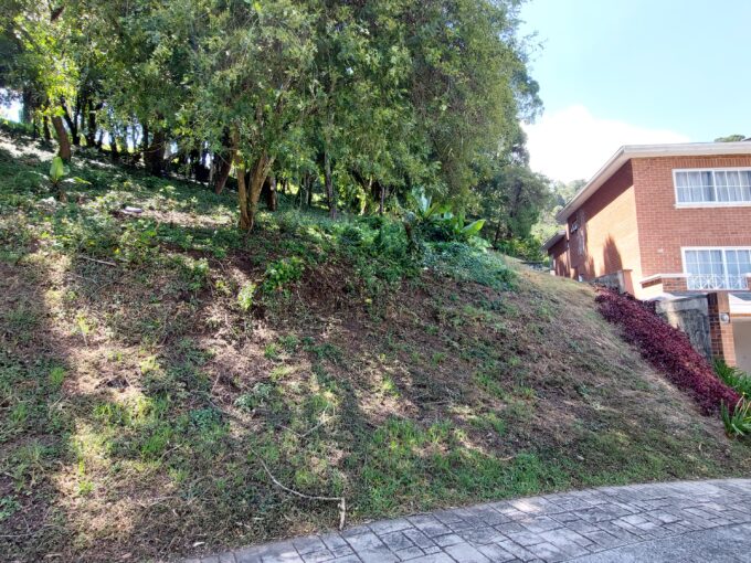 Terreno en Venta en Colinas de Castel